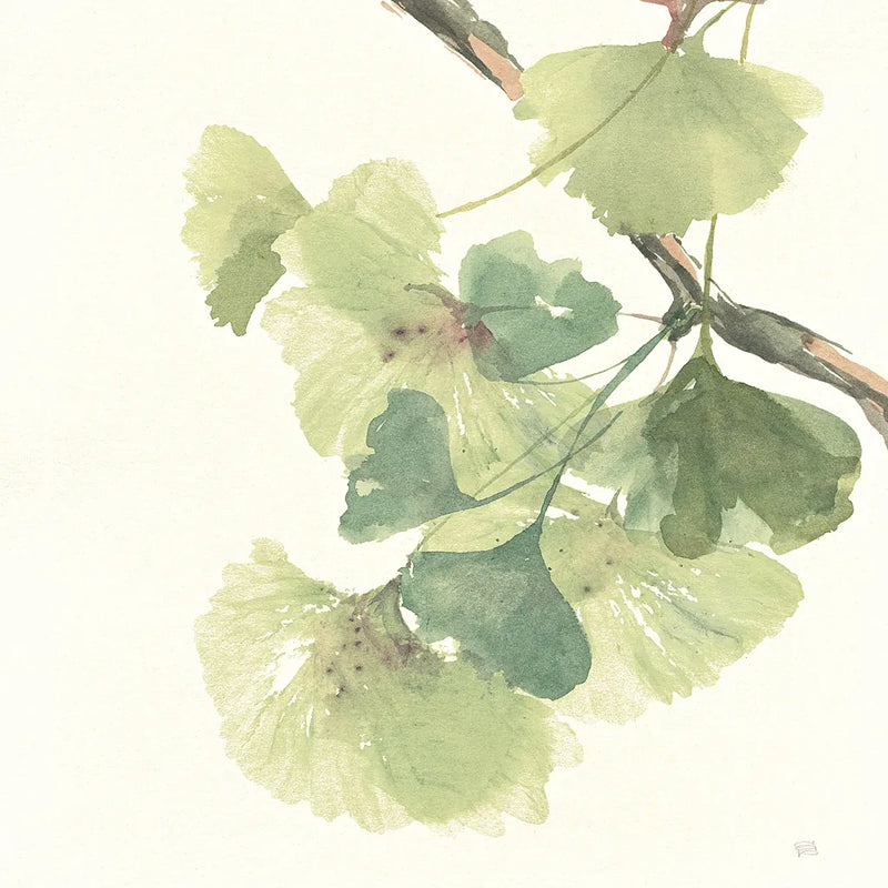 Gingko Leaves II Light by Chris Paschke. SKU 29297a. Archival Giclee Fine art print for wall decor.
