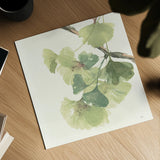 Gingko Leaves II Light by Chris Paschke. Shown as a detailed flat fine art print, highlighting archival giclee quality. Available as an archival giclee rolled canvas, fine art paper, or poster print. SKU 29297a.