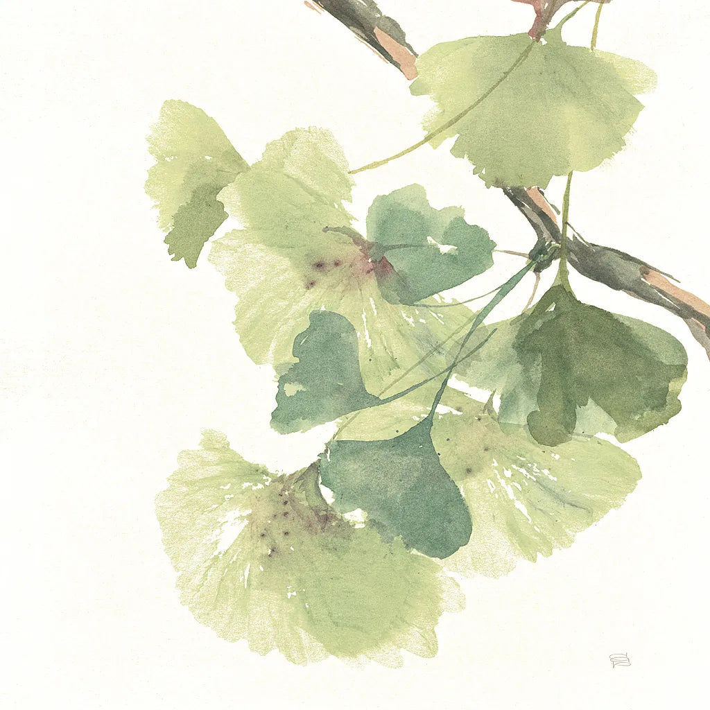 Gingko Leaves II on White by Chris Paschke. SKU 30859a. Archival Giclee Fine art print for wall decor.