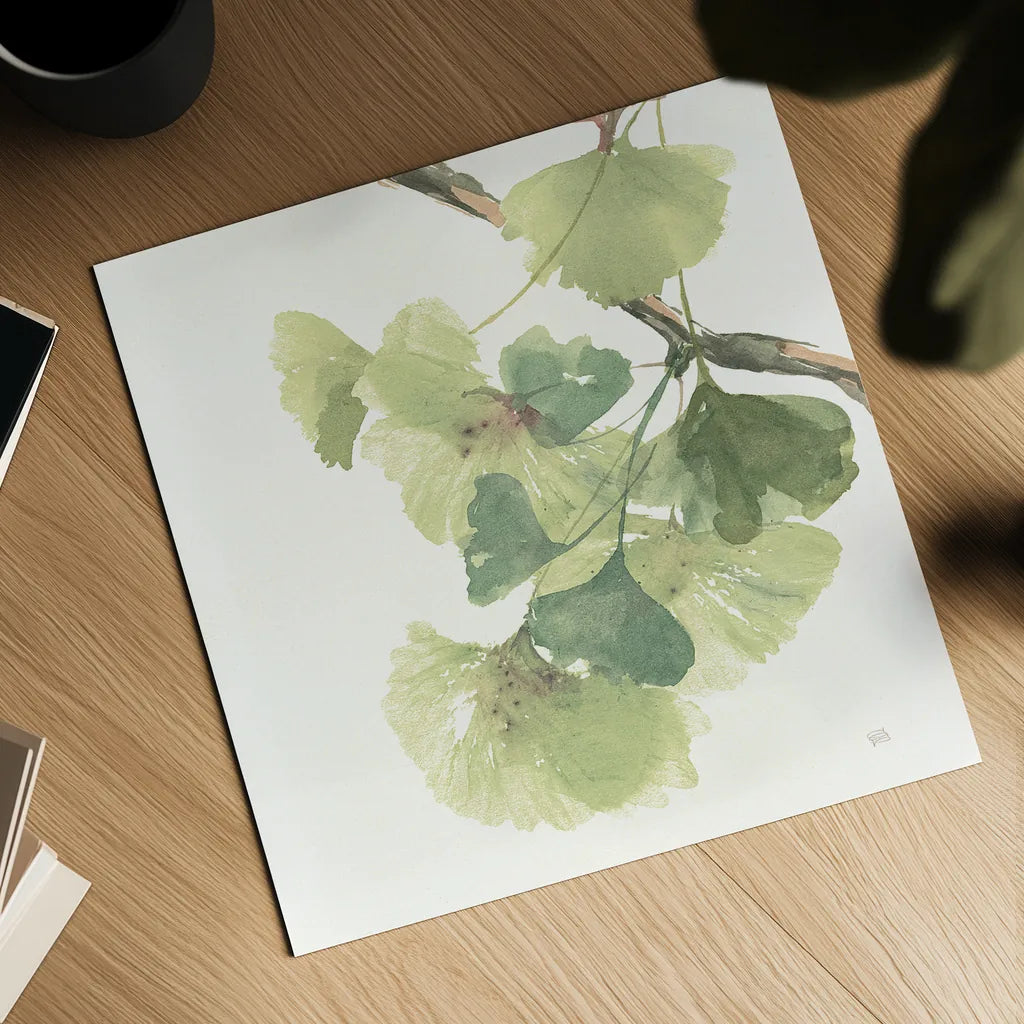 Gingko Leaves II on White by Chris Paschke. Shown as a detailed flat fine art print, highlighting archival giclee quality. Available as an archival giclee rolled canvas, fine art paper, or poster print. SKU 30859a.