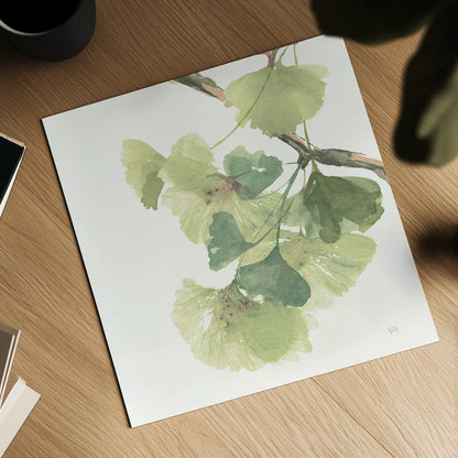 Gingko Leaves II on White by Chris Paschke. Shown as a detailed flat fine art print, highlighting archival giclee quality. Available as an archival giclee rolled canvas, fine art paper, or poster print. SKU 30859a.