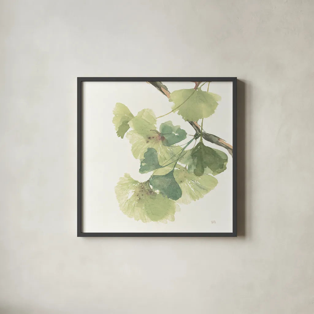 Gingko Leaves II on White by Chris Paschke. Shown in a sleek black glass frame for a contemporary gallery look. Available as an archival giclee rolled canvas, fine art paper, or poster print. SKU 30859a.