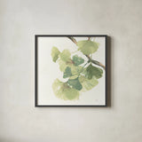 Gingko Leaves II on White by Chris Paschke. Shown in a sleek black glass frame for a contemporary gallery look. Available as an archival giclee rolled canvas, fine art paper, or poster print. SKU 30859a.