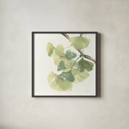 Gingko Leaves II on White by Chris Paschke. Shown in a sleek black glass frame for a contemporary gallery look. Available as an archival giclee rolled canvas, fine art paper, or poster print. SKU 30859a.