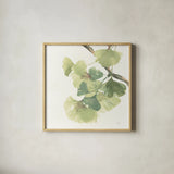 Gingko Leaves II on White by Chris Paschke. Shown in a natural wood glass frame for a timeless modern aesthetic. Available as an archival giclee rolled canvas, fine art paper, or poster print. SKU 30859a.