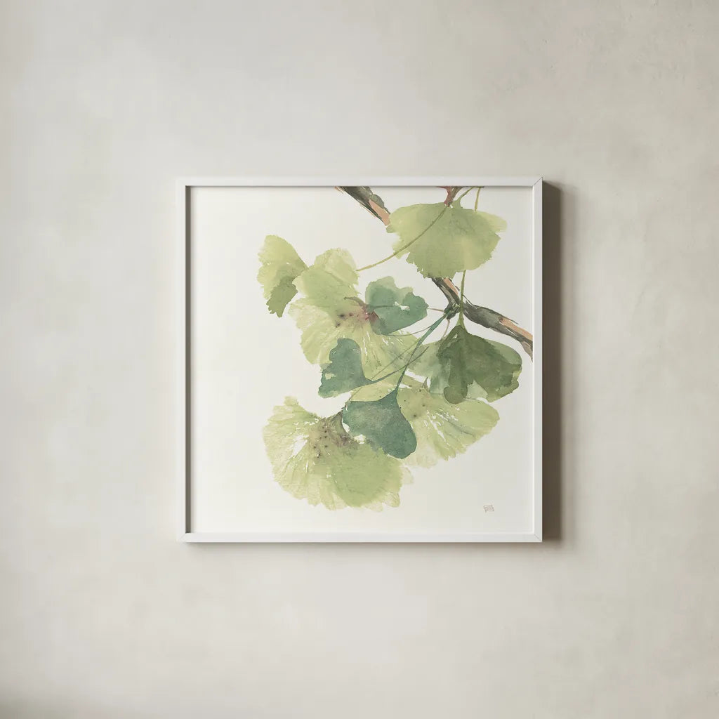 Gingko Leaves II on White by Chris Paschke. Shown in a crisp white glass frame for a clean and minimalist style. Available as an archival giclee rolled canvas, fine art paper, or poster print. SKU 30859a.