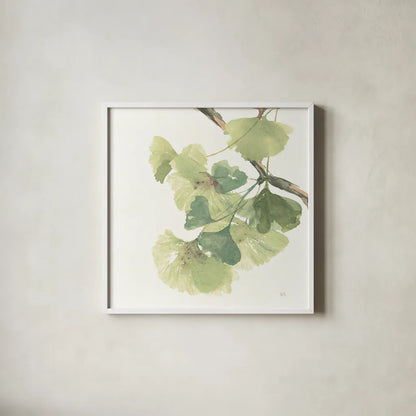 Gingko Leaves II on White by Chris Paschke. Shown in a crisp white glass frame for a clean and minimalist style. Available as an archival giclee rolled canvas, fine art paper, or poster print. SKU 30859a.