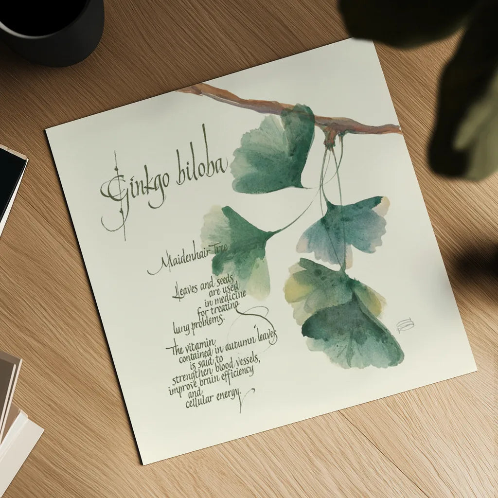 Ginko Biloba by Chris Paschke. Shown as a detailed flat fine art print, highlighting archival giclee quality. Available as an archival giclee rolled canvas, fine art paper, or poster print. SKU 1447a.