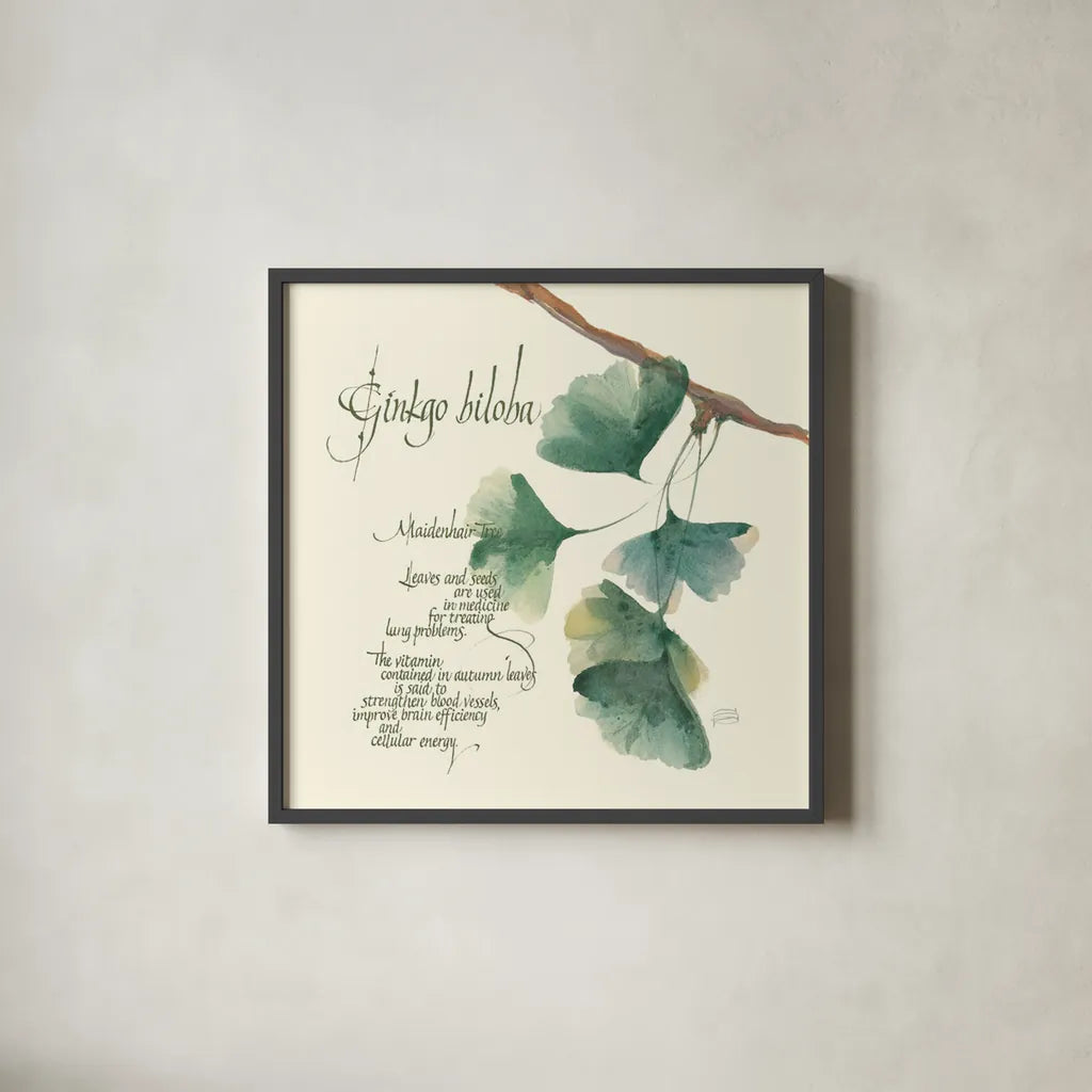 Ginko Biloba by Chris Paschke. Shown in a sleek black glass frame for a contemporary gallery look. Available as an archival giclee rolled canvas, fine art paper, or poster print. SKU 1447a.