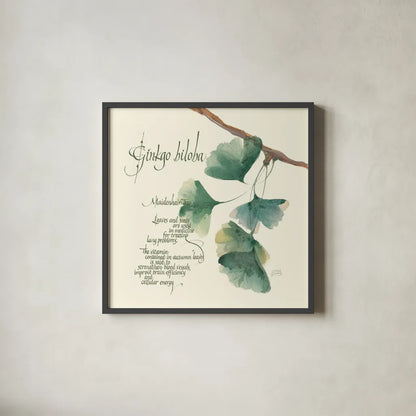 Ginko Biloba by Chris Paschke. Shown in a sleek black glass frame for a contemporary gallery look. Available as an archival giclee rolled canvas, fine art paper, or poster print. SKU 1447a.