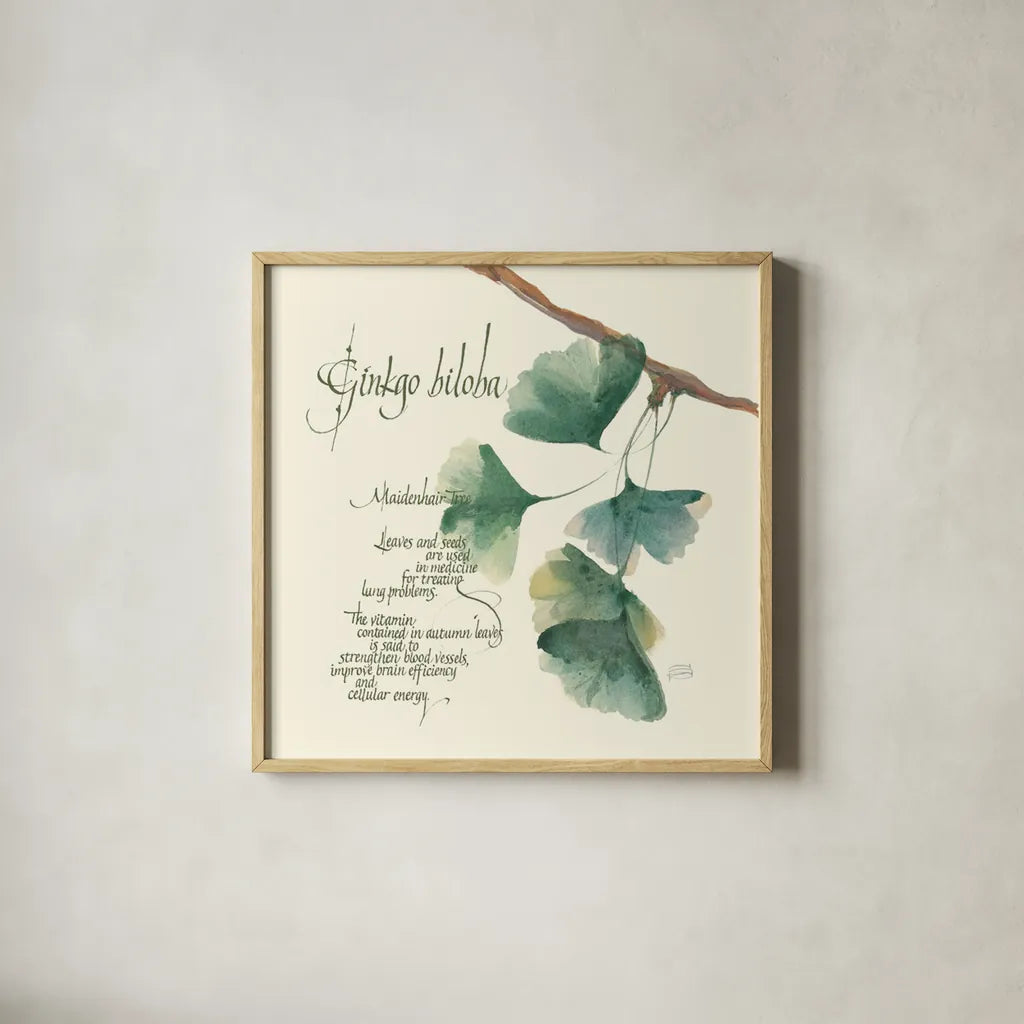 Ginko Biloba by Chris Paschke. Shown in a natural wood glass frame for a timeless modern aesthetic. Available as an archival giclee rolled canvas, fine art paper, or poster print. SKU 1447a.