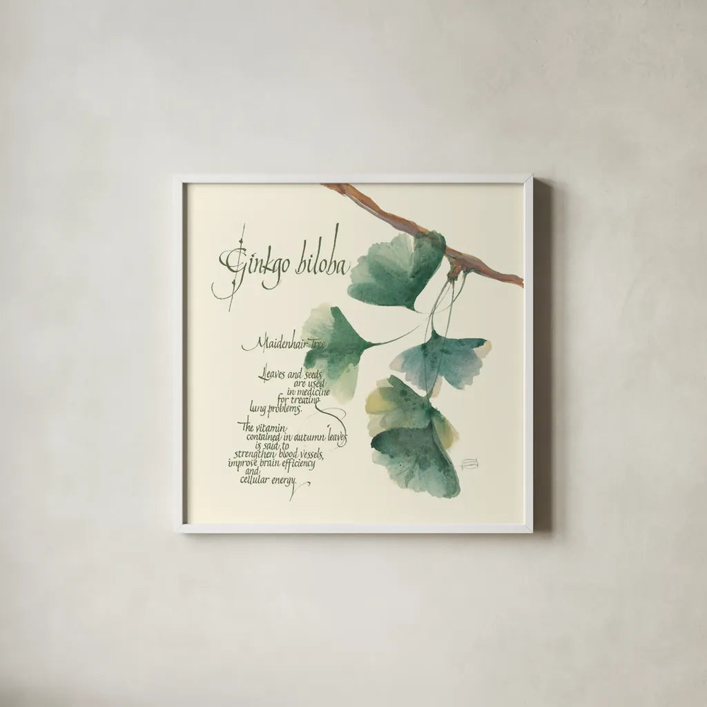Ginko Biloba by Chris Paschke. Shown in a crisp white glass frame for a clean and minimalist style. Available as an archival giclee rolled canvas, fine art paper, or poster print. SKU 1447a.