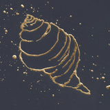Gold Conch I by Chris Paschke. SKU 69348a. Archival Giclee Fine art print for wall decor.