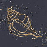 Gold Conch III by Chris Paschke. SKU 69350a. Archival Giclee Fine art print for wall decor.