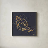 Gold Conch III by Chris Paschke. Shown in a sleek black glass frame for a contemporary gallery look. Available as an archival giclee rolled canvas, fine art paper, or poster print. SKU 69350a.