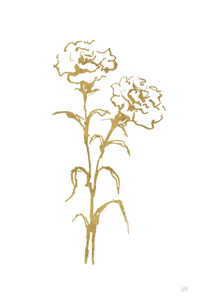 Gold Line Carnation II by Chris Paschke. SKU 69564h. Archival Giclee Fine art print for wall decor.