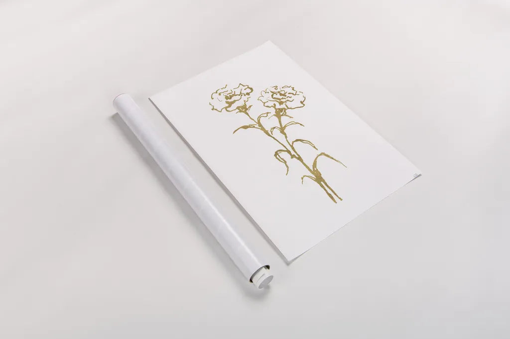 Gold Line Carnation II by Chris Paschke. shown as a rolled paper print. Available as archival giclee rolled canvas, fine art paper, or poster print. SKU 69564h.
