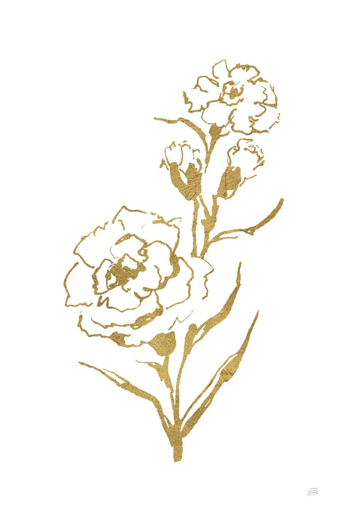 Gold Line Carnation III by Chris Paschke. SKU 69565h. Archival Giclee Fine art print for wall decor.