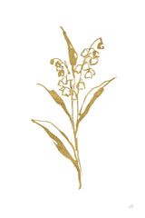 Gold Line Lily of the Valley II by Chris Paschke. SKU 69567h. Archival Giclee Fine art print for wall decor.