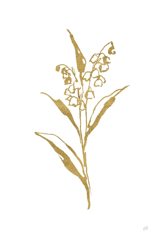 Gold Line Lily of the Valley II by Chris Paschke. SKU 69567h. Archival Giclee Fine art print for wall decor.