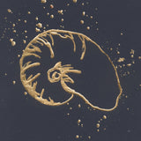 Gold Nautilus I by Chris Paschke. SKU 69352a. Archival Giclee Fine art print for wall decor.