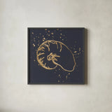 Gold Nautilus I by Chris Paschke. Shown in a sleek black glass frame for a contemporary gallery look. Available as an archival giclee rolled canvas, fine art paper, or poster print. SKU 69352a.