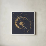 Gold Nautilus I by Chris Paschke. Shown in a crisp white glass frame for a clean and minimalist style. Available as an archival giclee rolled canvas, fine art paper, or poster print. SKU 69352a.