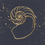 Gold Nautilus II by Chris Paschke. SKU 69353a. Archival Giclee Fine art print for wall decor.