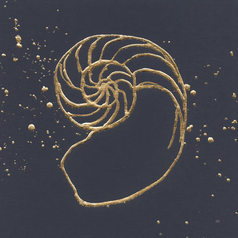 Gold Nautilus II by Chris Paschke. SKU 69353a. Archival Giclee Fine art print for wall decor.