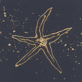 Gold Starfish II by Chris Paschke. SKU 69362a. Archival Giclee Fine art print for wall decor.