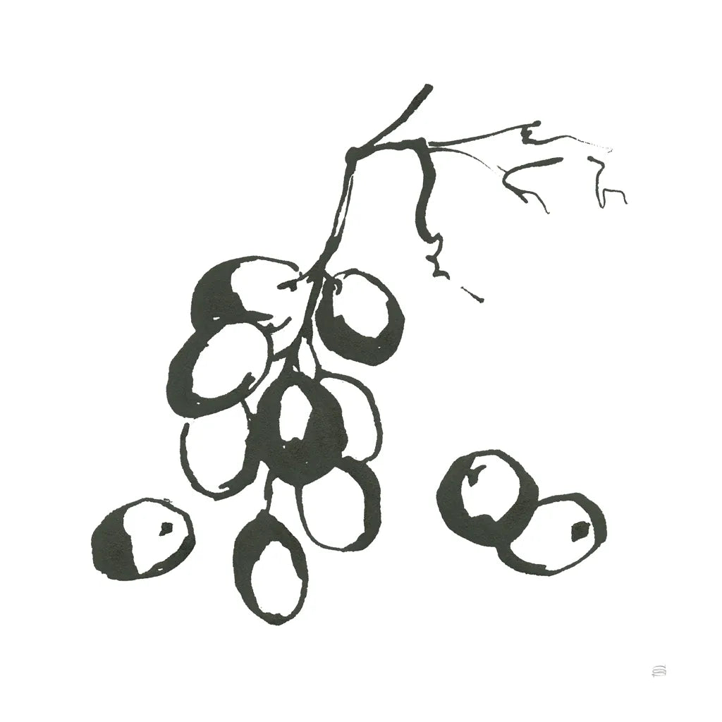 Grapes I BW by Chris Paschke. SKU 64214a. Archival Giclee Fine art print for wall decor.