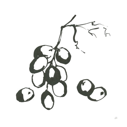 Grapes I BW by Chris Paschke. SKU 64214a. Archival Giclee Fine art print for wall decor.