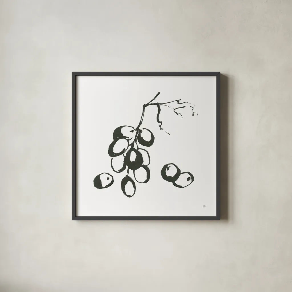 Grapes I BW by Chris Paschke. Shown in a sleek black glass frame for a contemporary gallery look. Available as an archival giclee rolled canvas, fine art paper, or poster print. SKU 64214a.