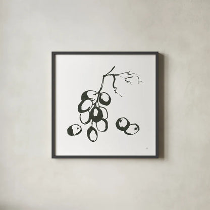 Grapes I BW by Chris Paschke. Shown in a sleek black glass frame for a contemporary gallery look. Available as an archival giclee rolled canvas, fine art paper, or poster print. SKU 64214a.