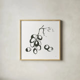 Grapes I BW by Chris Paschke. Shown in a natural wood glass frame for a timeless modern aesthetic. Available as an archival giclee rolled canvas, fine art paper, or poster print. SKU 64214a.