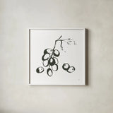 Grapes I BW by Chris Paschke. Shown in a crisp white glass frame for a clean and minimalist style. Available as an archival giclee rolled canvas, fine art paper, or poster print. SKU 64214a.