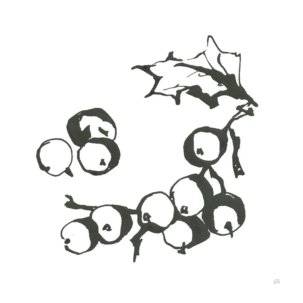 Grapes II BW by Chris Paschke. SKU 64215a. Archival Giclee Fine art print for wall decor.