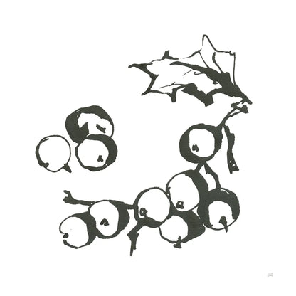 Grapes II BW by Chris Paschke. SKU 64215a. Archival Giclee Fine art print for wall decor.