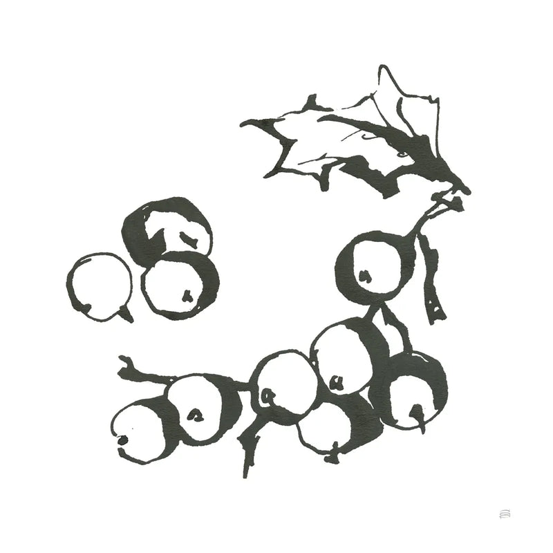Grapes II BW by Chris Paschke. SKU 64215a. Archival Giclee Fine art print for wall decor.