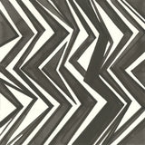 Graphics V by Chris Paschke. SKU 45462a. Archival Giclee Fine art print for wall decor.