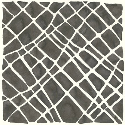 Graphics VI by Chris Paschke. SKU 45463a. Archival Giclee Fine art print for wall decor.