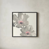 Gray Blush Cosmos I by Chris Paschke. Shown in a sleek black glass frame for a contemporary gallery look. Available as an archival giclee rolled canvas, fine art paper, or poster print. SKU 33990a.