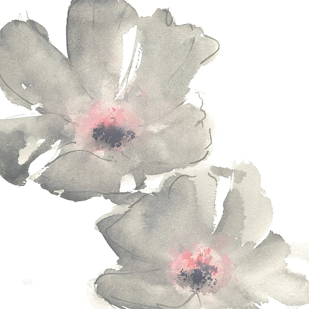 Gray Blush Cosmos I on White by Chris Paschke. SKU 34678a. Archival Giclee Fine art print for wall decor.