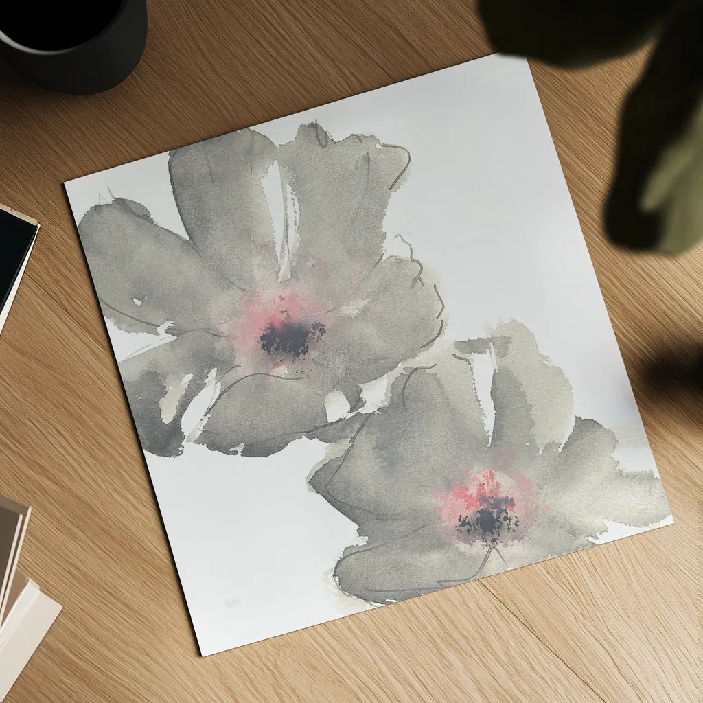 Gray Blush Cosmos I on White by Chris Paschke. Shown as a detailed flat fine art print, highlighting archival giclee quality. Available as an archival giclee rolled canvas, fine art paper, or poster print. SKU 34678a.
