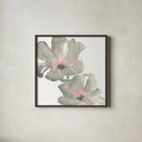 Gray Blush Cosmos I on White by Chris Paschke. Shown in a sleek black glass frame for a contemporary gallery look. Available as an archival giclee rolled canvas, fine art paper, or poster print. SKU 34678a.