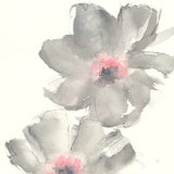 Gray Blush Cosmos II by Chris Paschke. SKU 33991a. Archival Giclee Fine art print for wall decor.