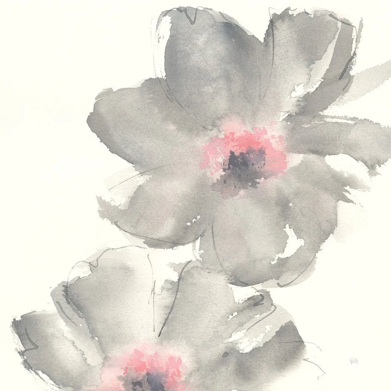 Gray Blush Cosmos II by Chris Paschke. SKU 33991a. Archival Giclee Fine art print for wall decor.