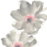 Gray Blush Cosmos II on White by Chris Paschke. SKU 34679a. Archival Giclee Fine art print for wall decor.