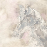 Gray Head IV by Chris Paschke. SKU 37172a. Archival Giclee Fine art print for wall decor.