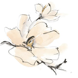 Greige Magnolias I by Chris Paschke. SKU 88344a. Archival Giclee Fine art print for wall decor.